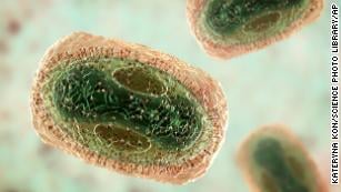 220726141500-monkey-pox-virus-medium-plus-169