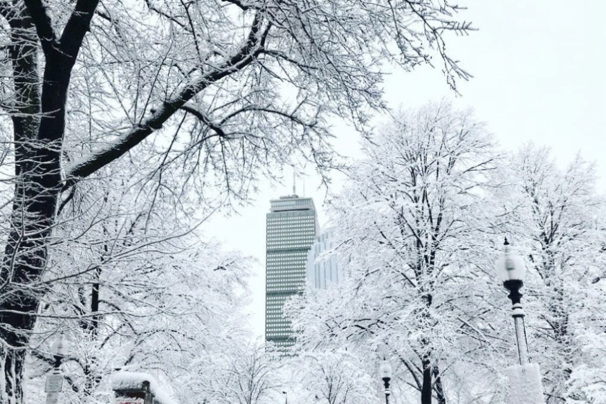 Screenshot 2026-02-05 073404